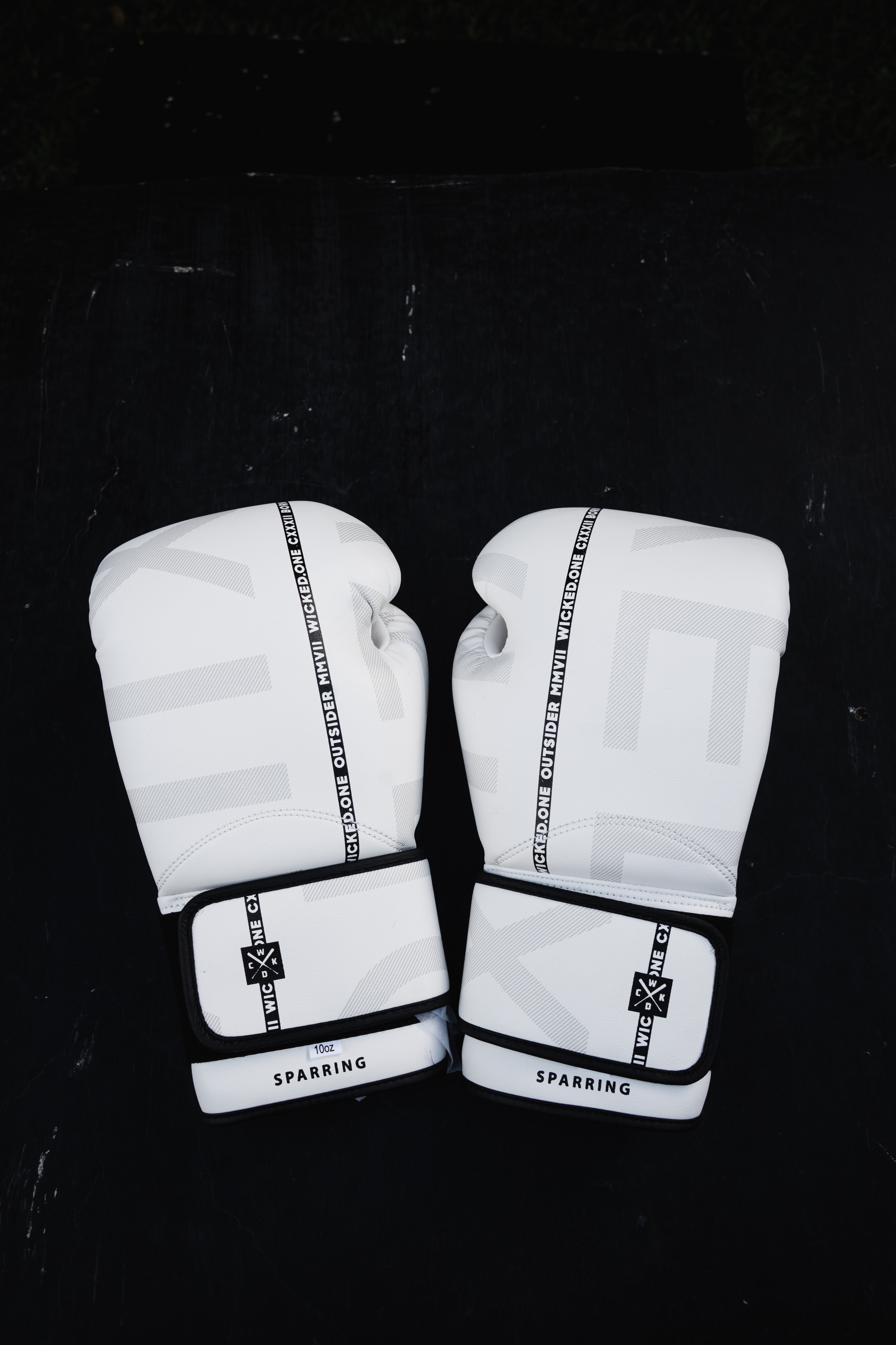 Gloves Muay Thai White B Stripe
