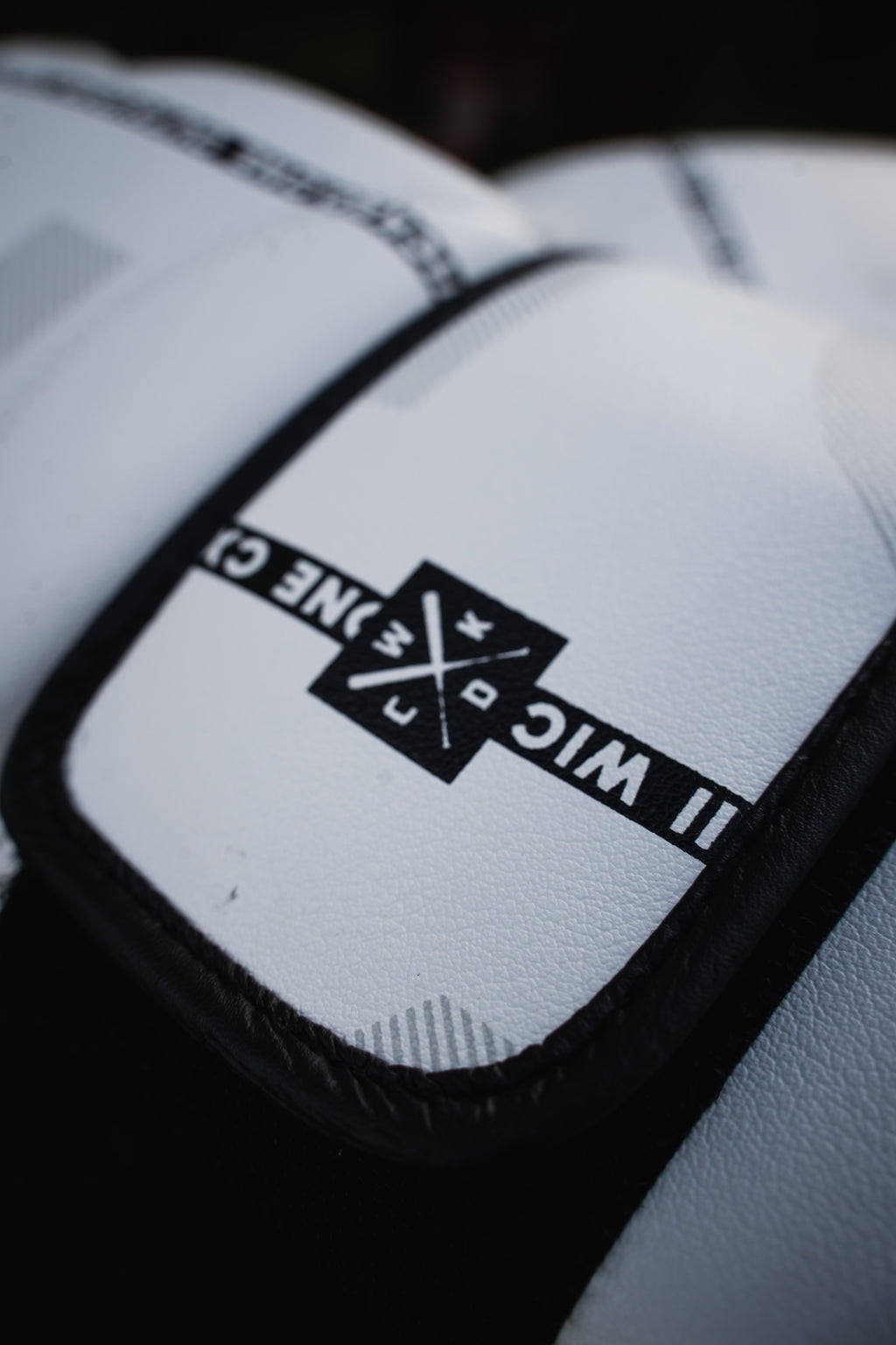 Gloves Muay Thai White B Stripe