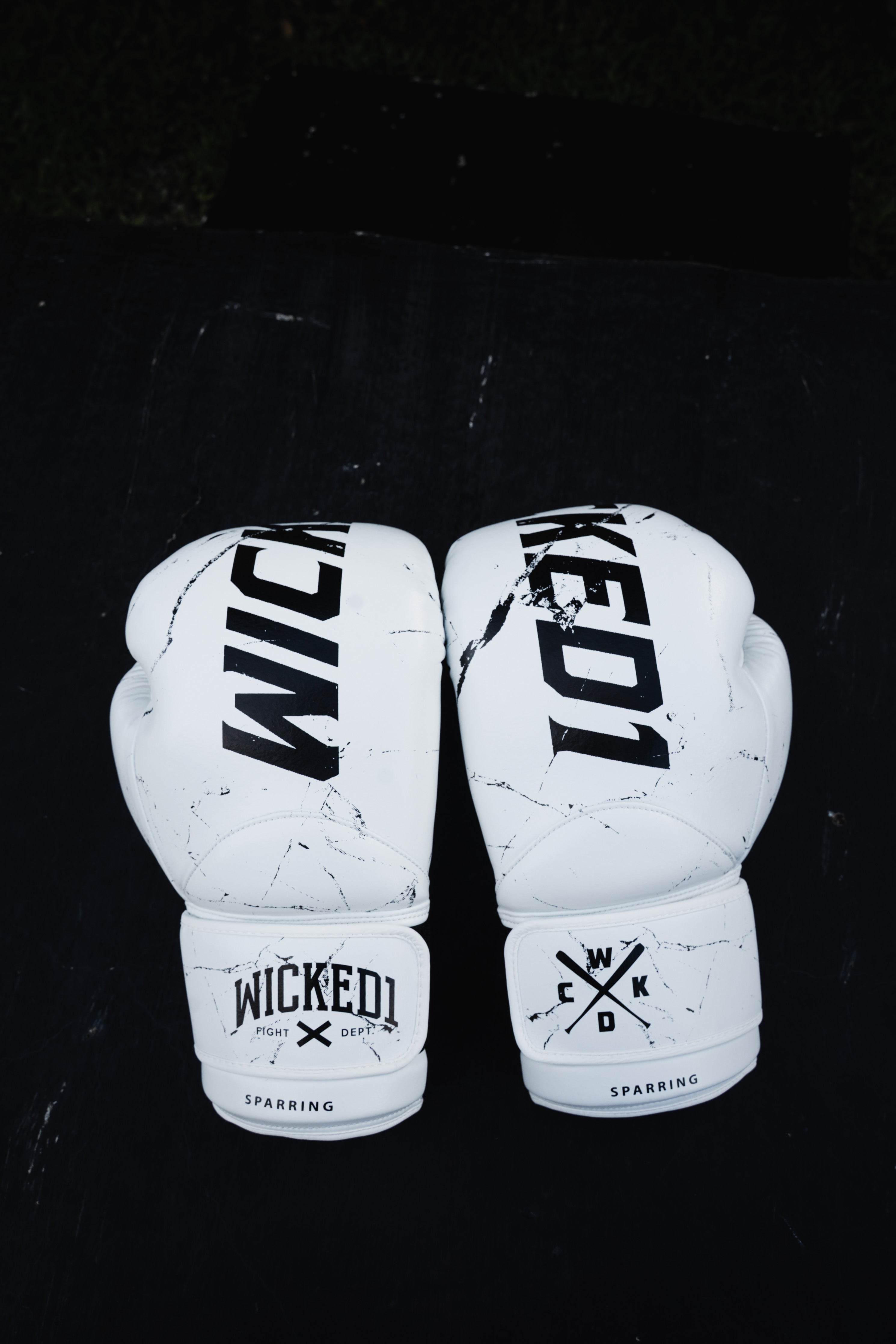 Gloves Muay Thai White Light
