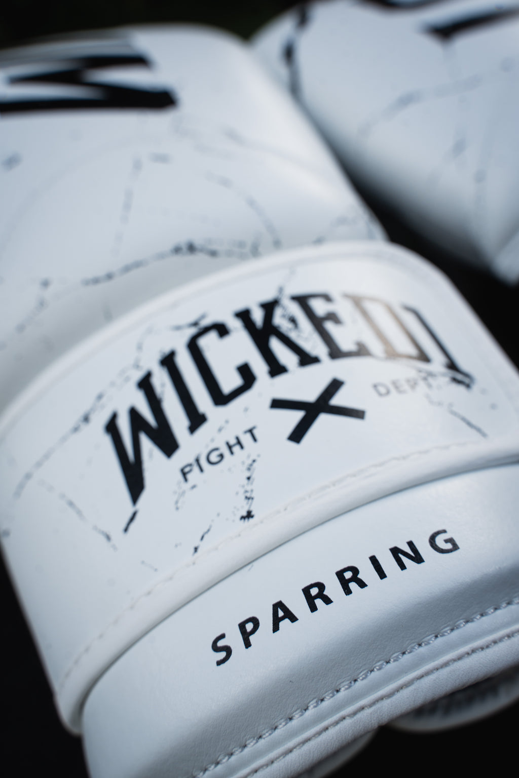 Gloves Muay Thai White Light