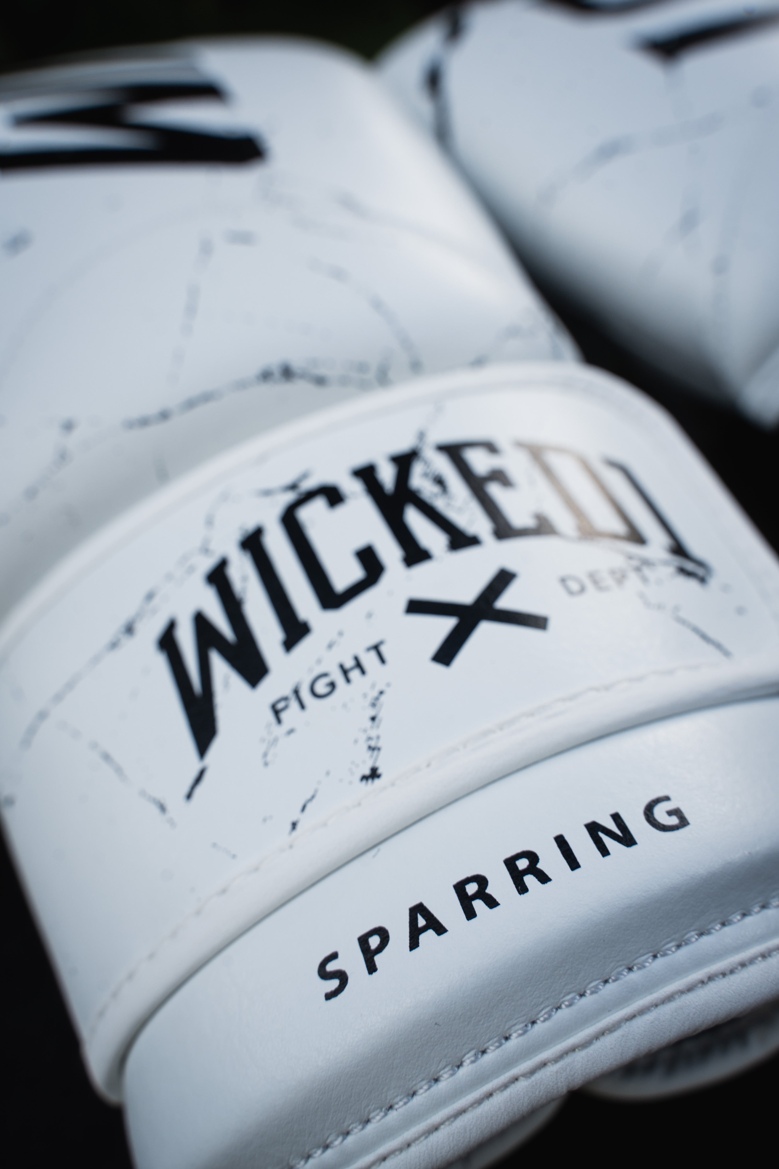 Gloves Muay Thai White Light