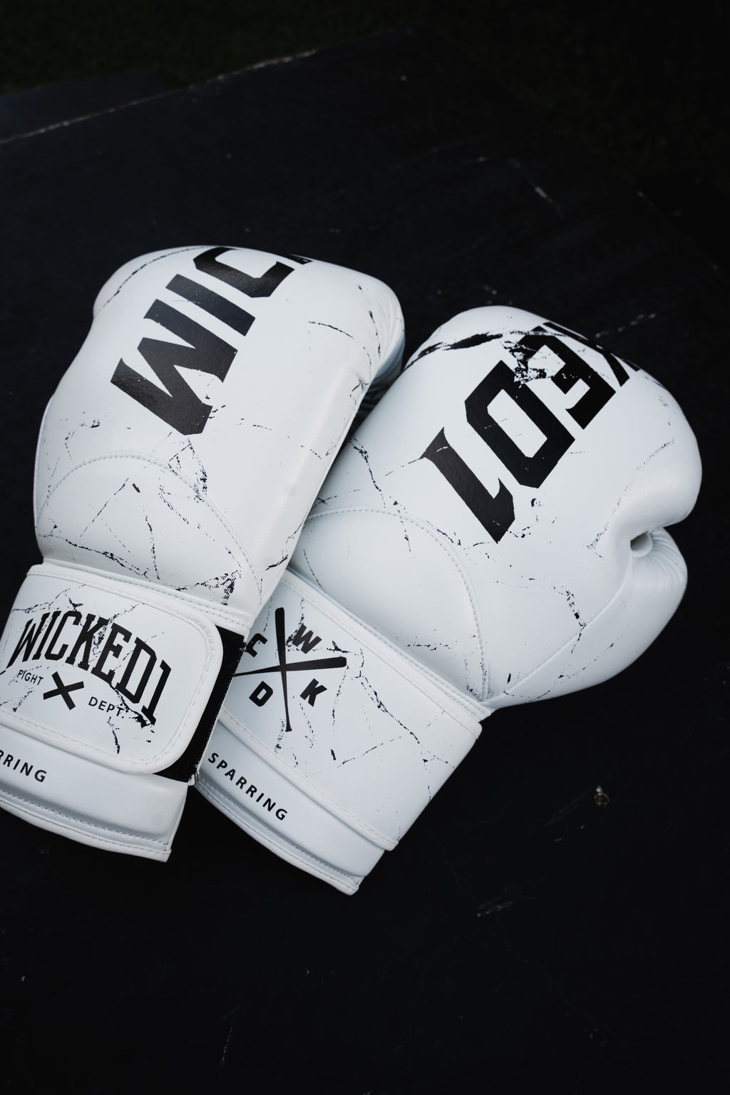 Gloves Muay Thai White Light