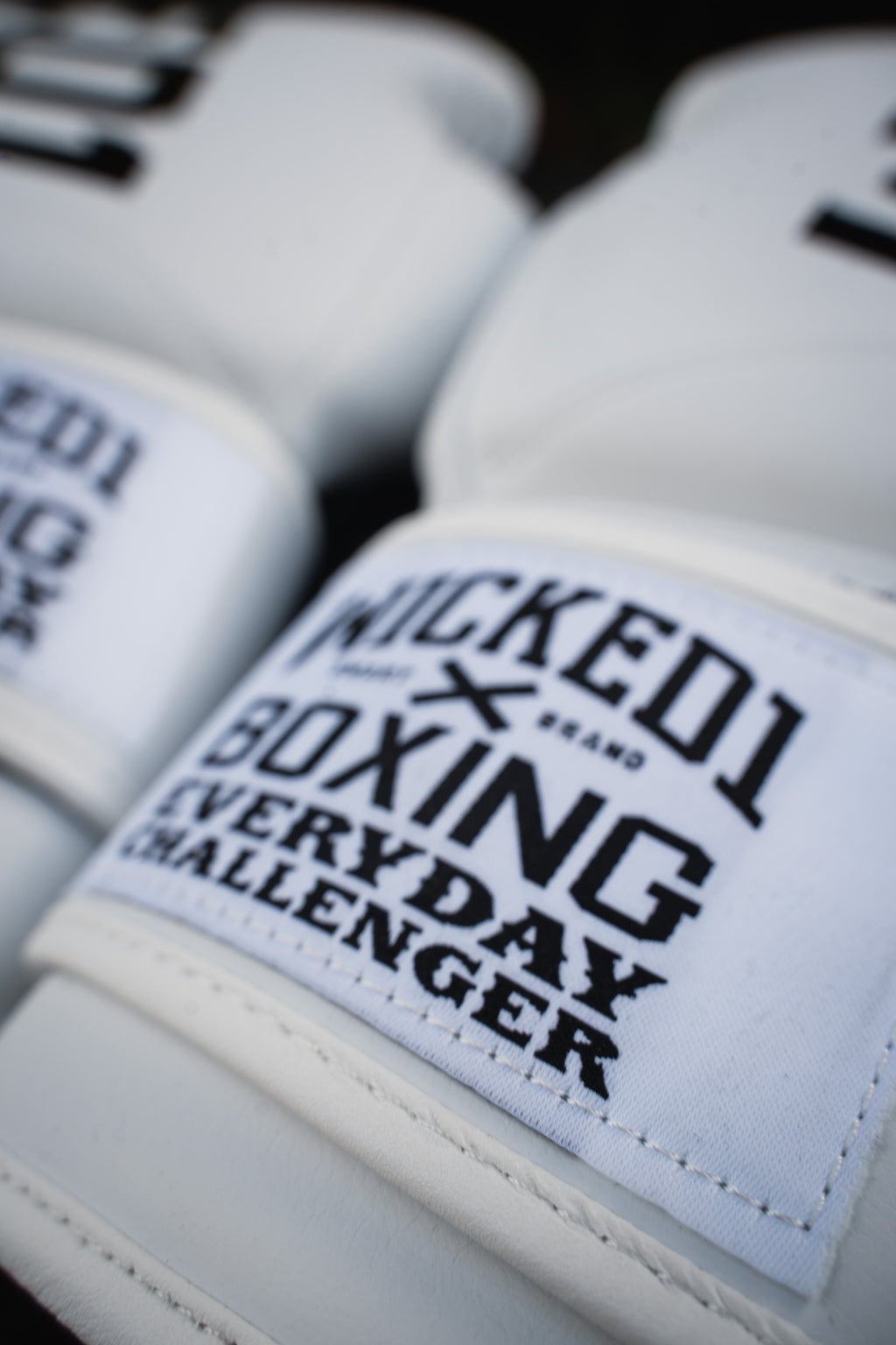 Gloves Muay Thai White